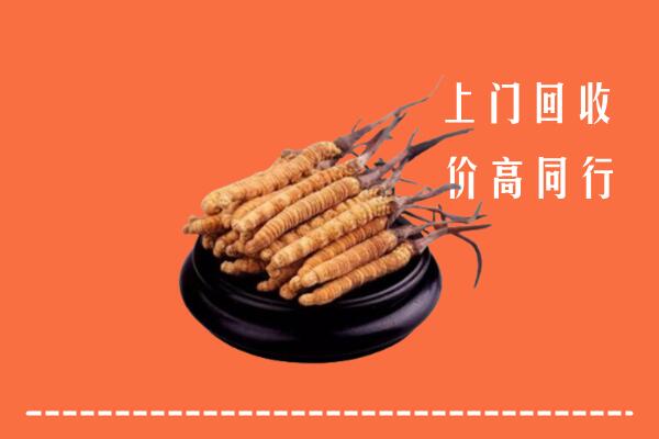 收购行情：苏仙区回收散虫草